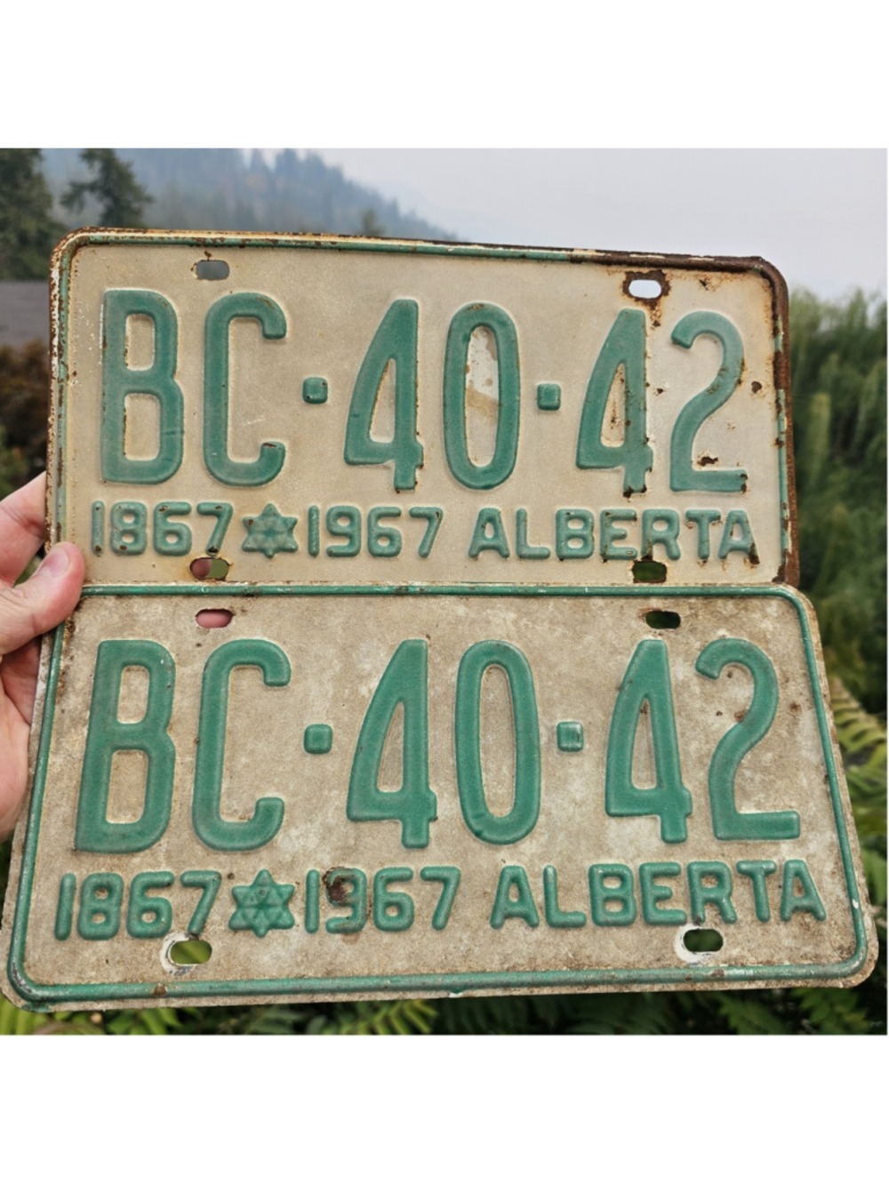 Vintage 1967 Alberta License Plate Pair BC-40-42 Centennial Matching Set...